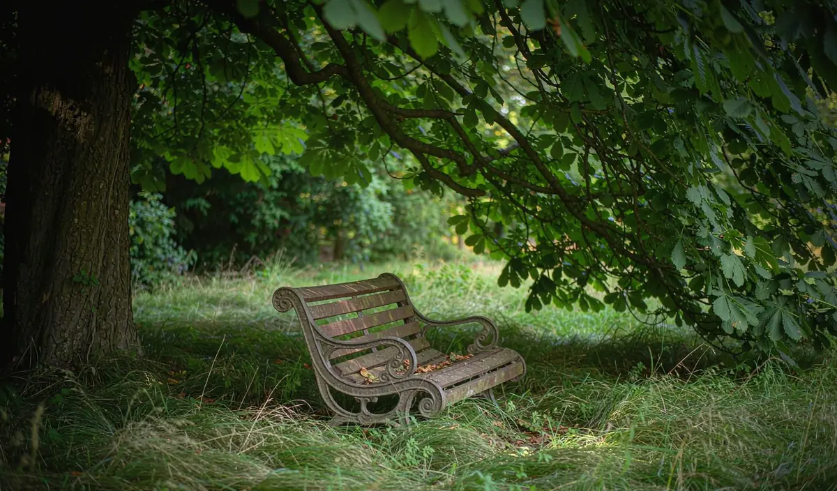 A weathered wooden garden bench in dappled shade under a large deciduous tree in long grass