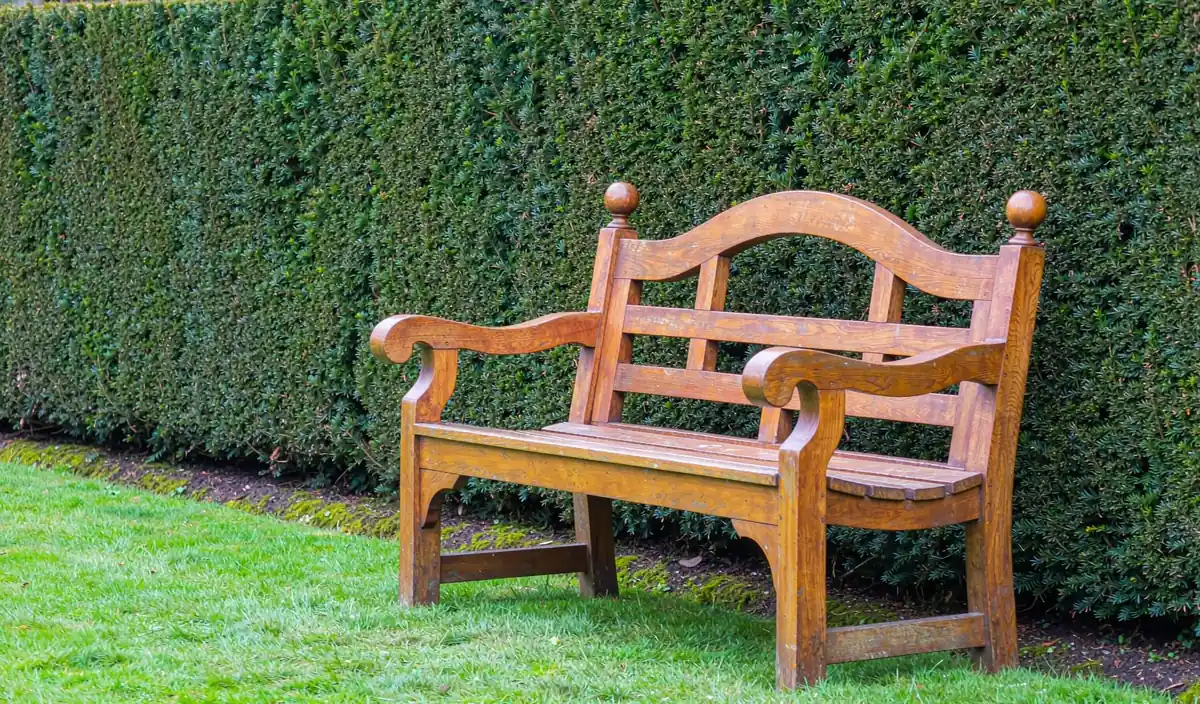 A Lutyens-style wooden garden bench with scrolled arms, an arched back and ball finials, standing against a clipped hedge
